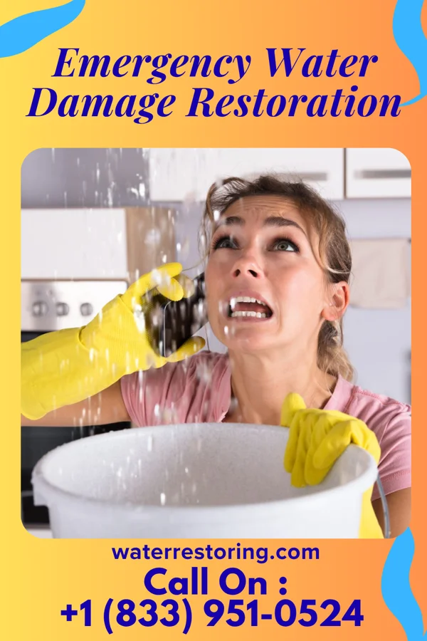 Emergency Water Damage Restoration in Unity, SC